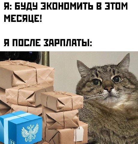 Я: БУДУ ЭКОНОМИТЬ В ЭТОМ МЕСЯЦЕ! Я ПОСЛЕ