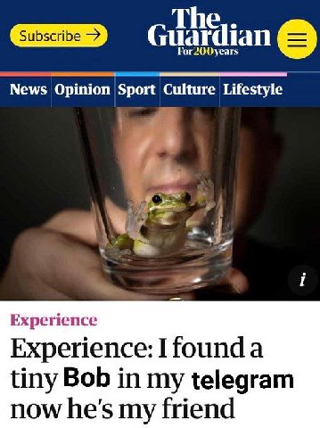 Opinion Sport Culture Lifestyle he i Experience Experience: I founda tiny Bob in my telegram now he's my friend