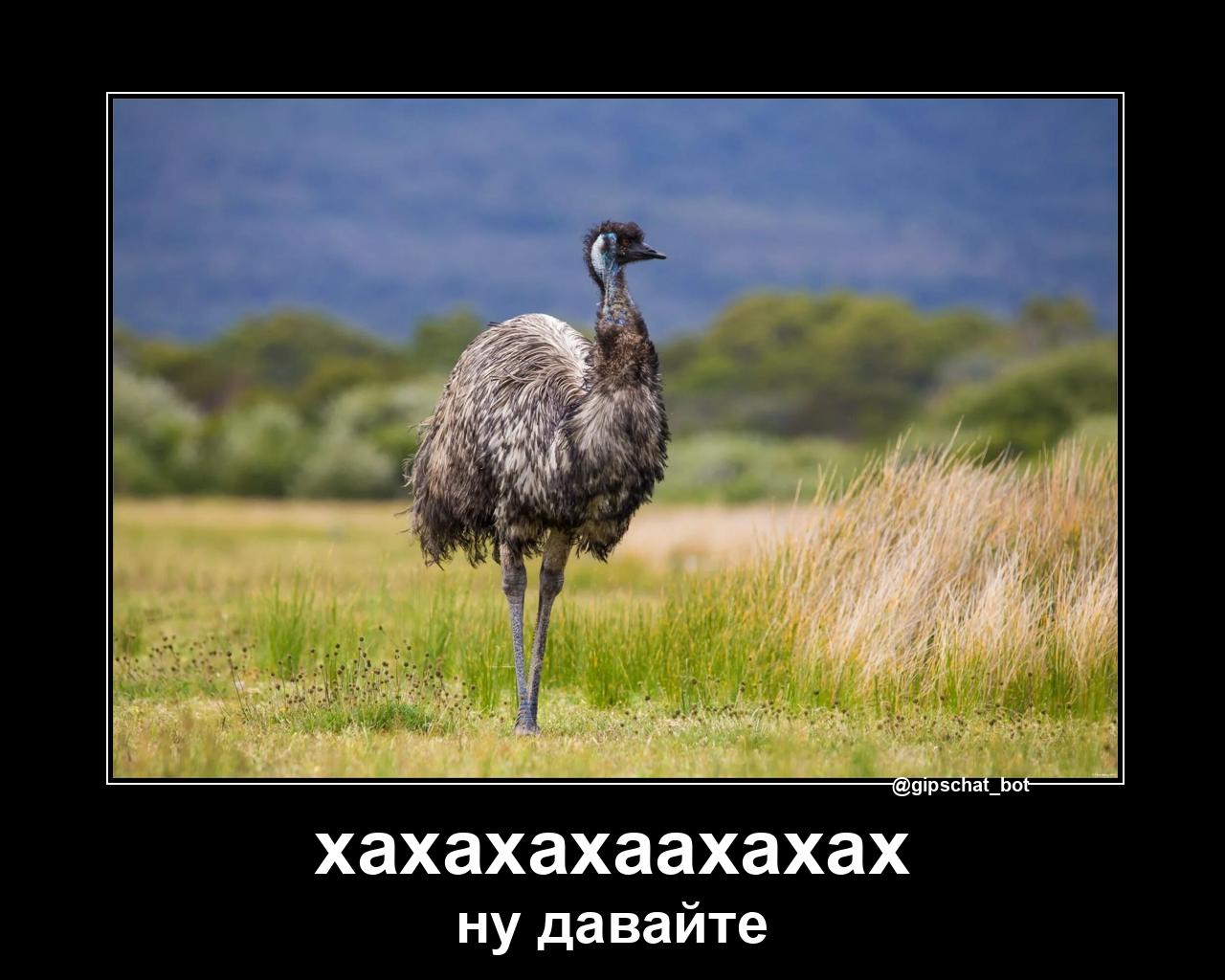 хахахахаахахах ну давайте