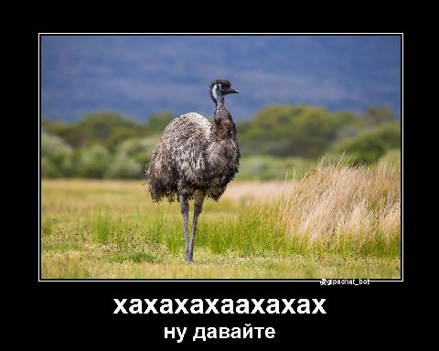 хахахахаахахах ну давайте