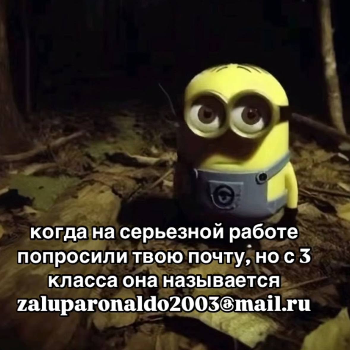 когда на серьезной работе попросили твою почту, нос 3 класса она называется zaluparonaldo2003@mail.ru