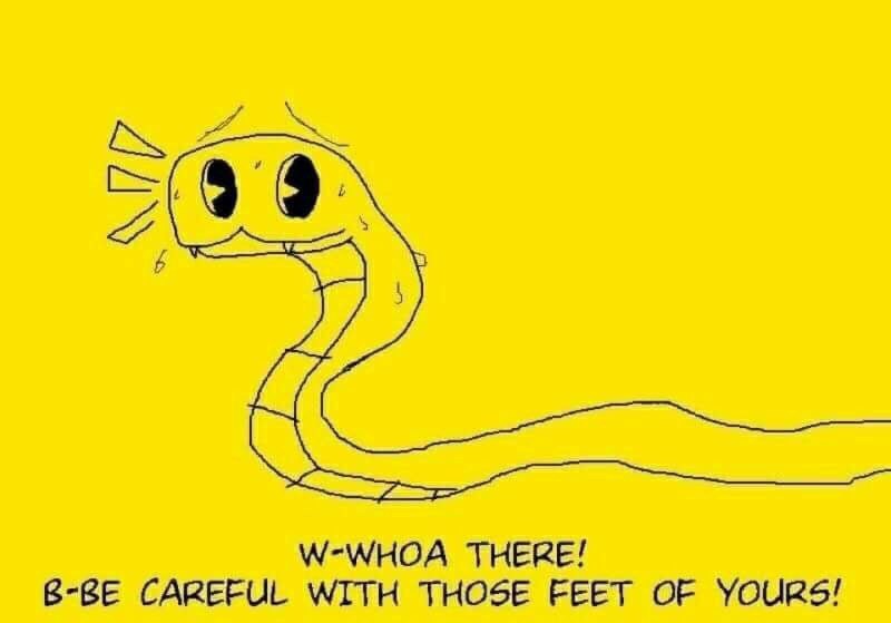 W-WHOA THERE! B-BE CAREFUL WITH THOSE FEET OF YOURS!