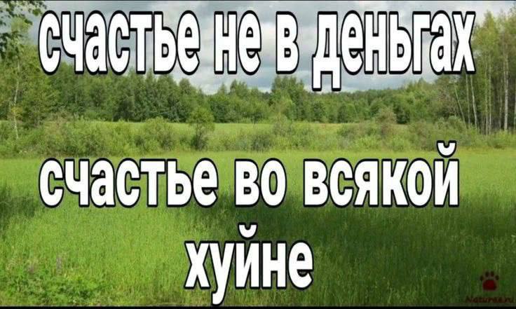 счастье во всякой хуине