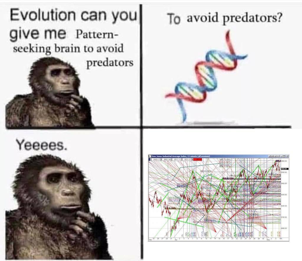 Evolution can you} avoid predators? give Рацет- seeking brain to avoid predators Yeeees.