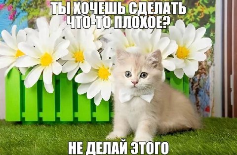 НЕ ЭТОГО