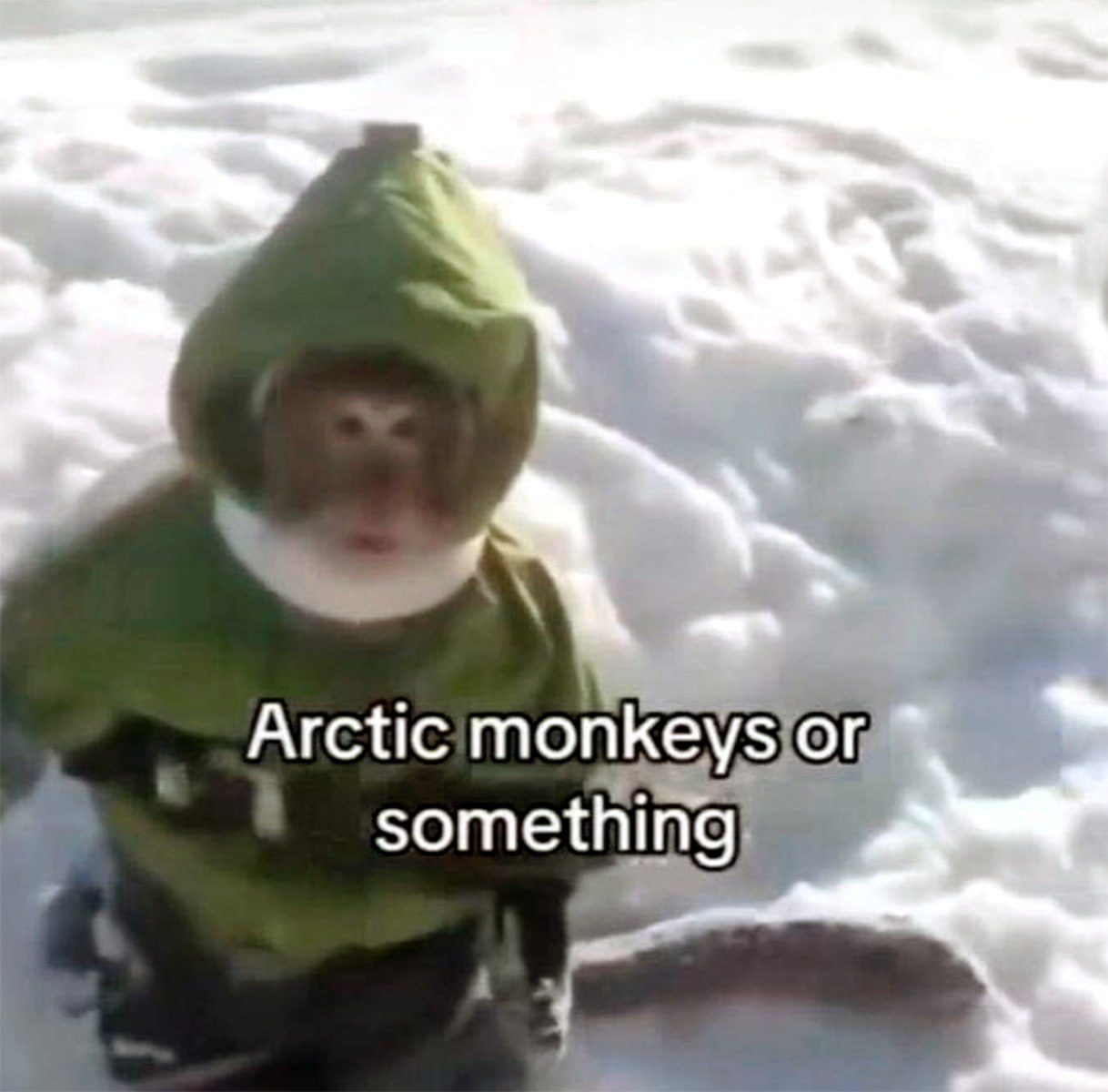 Arctic something)