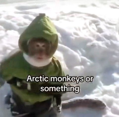 Arctic something)