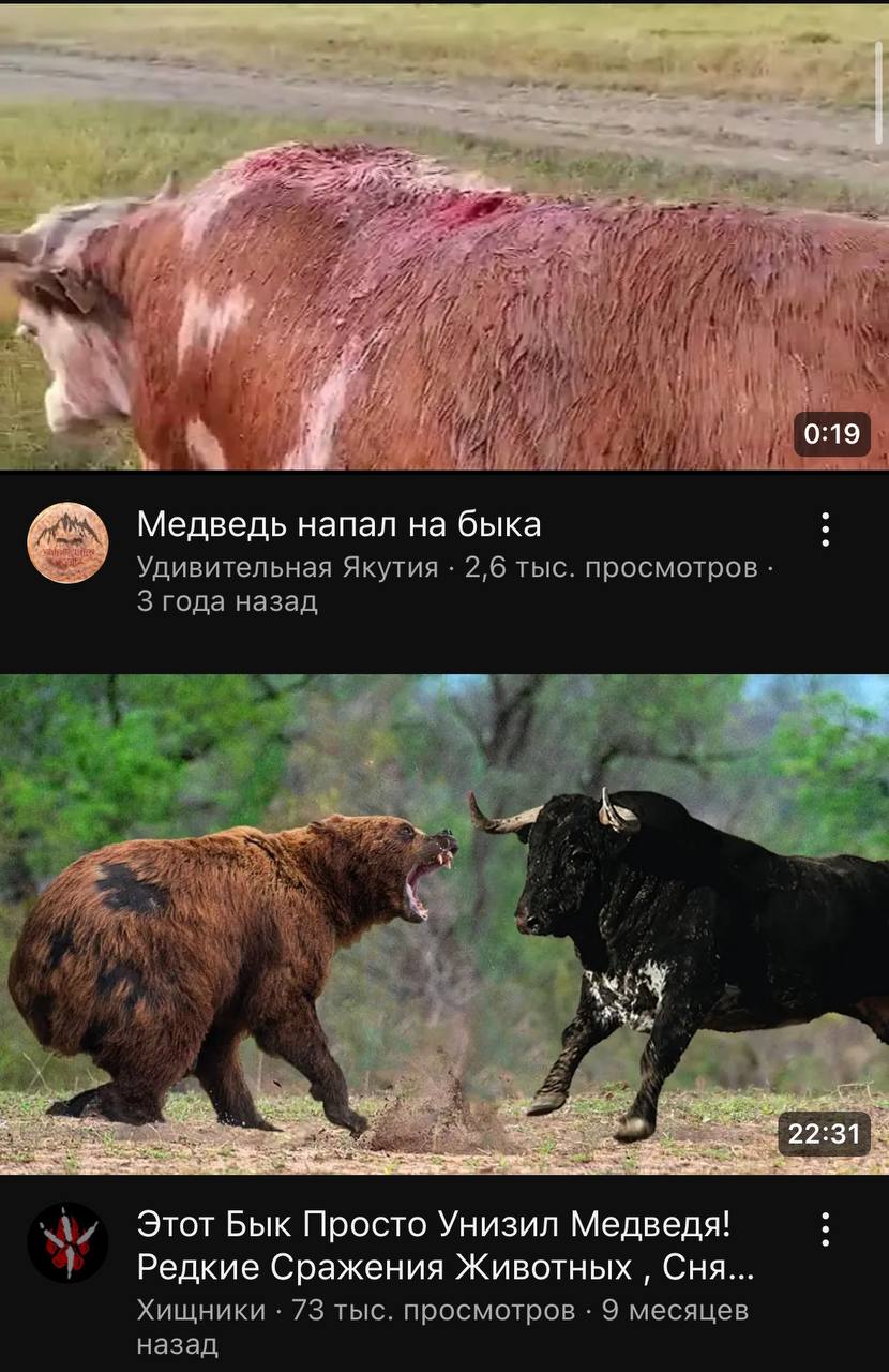 Обычный день на московской бирже