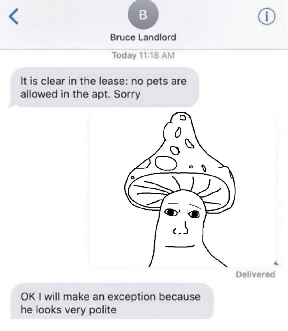 Bruce Landlord Today 11:18 A It is clear in the lease: no pets are allowed in the apt. Sorry «4 Delivered will make an exception because he looks very polite