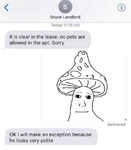 Bruce Landlord Today 11:18 A It is clear in the lease: no pets are allowed in the apt. Sorry «4 Delivered will make an exception because he looks very polite