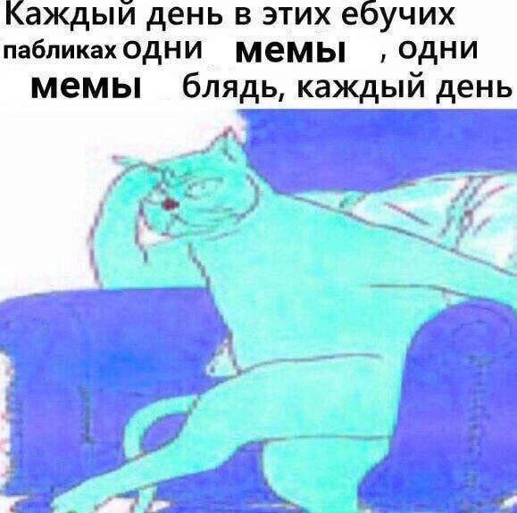 Каждый день в этих ебучих пабликадодни Мемы одни мемы блядь, каждый день