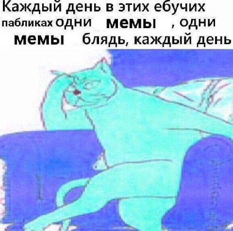 Каждый день в этих ебучих пабликадодни Мемы одни мемы блядь, каждый день