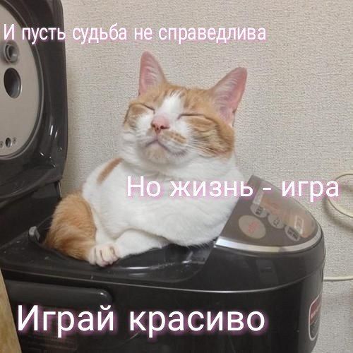 И пусть судьба не справедлива жизнь игра 4 Играй красиво