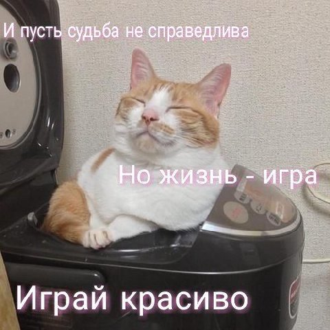 И пусть судьба не справедлива жизнь игра 4 Играй красиво