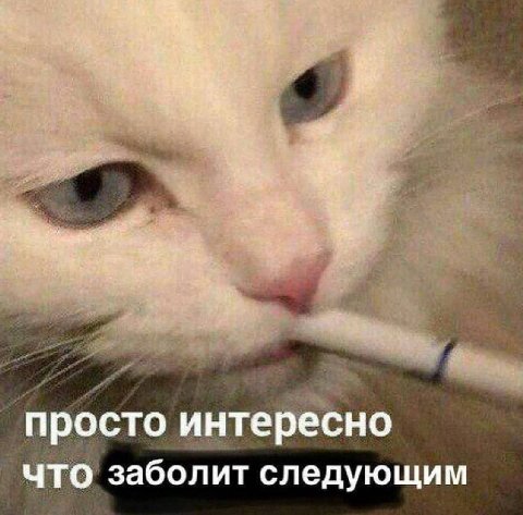 просто интересно ЧТО заболит следующим