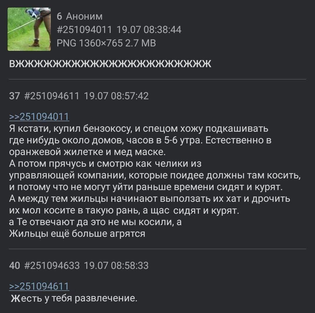 6 Аноним #251094011 19.07 08:38:44 PNG 2.7 В 37 #251094611 19.07 08:57:42 >>251094011 Я кстати, купил бензокосу, и спецом хожу подкашивать где нибудь около домов, часов в 5-6 утра. Естественно в оранж