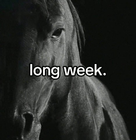 long week.