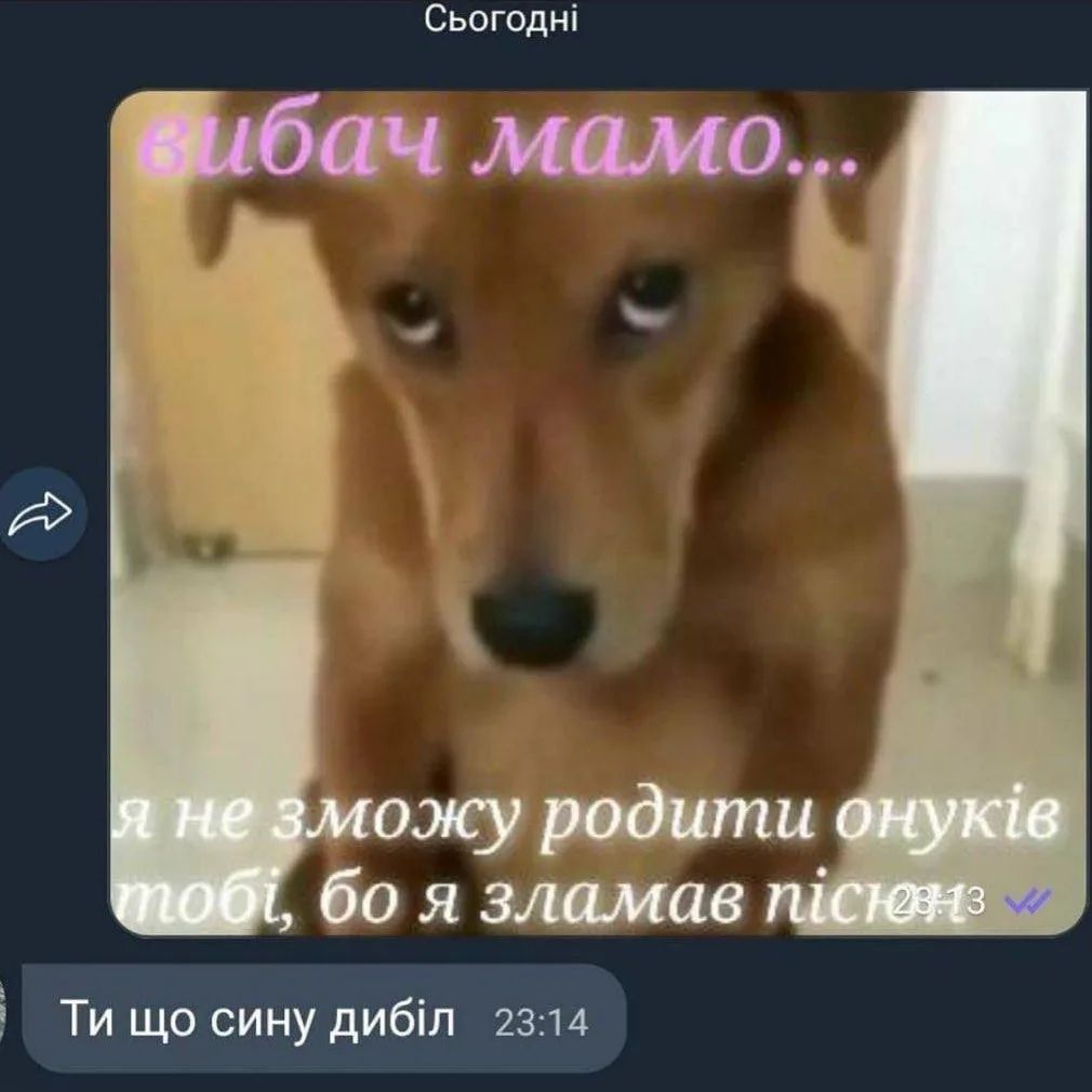 Сьогодн! я незможу родити онуюв moGi, 00 я зламав сину ди@л