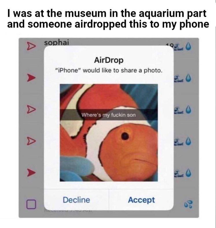 was at the museum the aquarium part and someone airdropped this to my phone AirDrop “iPhone” would like to share a photo. Decline Accept