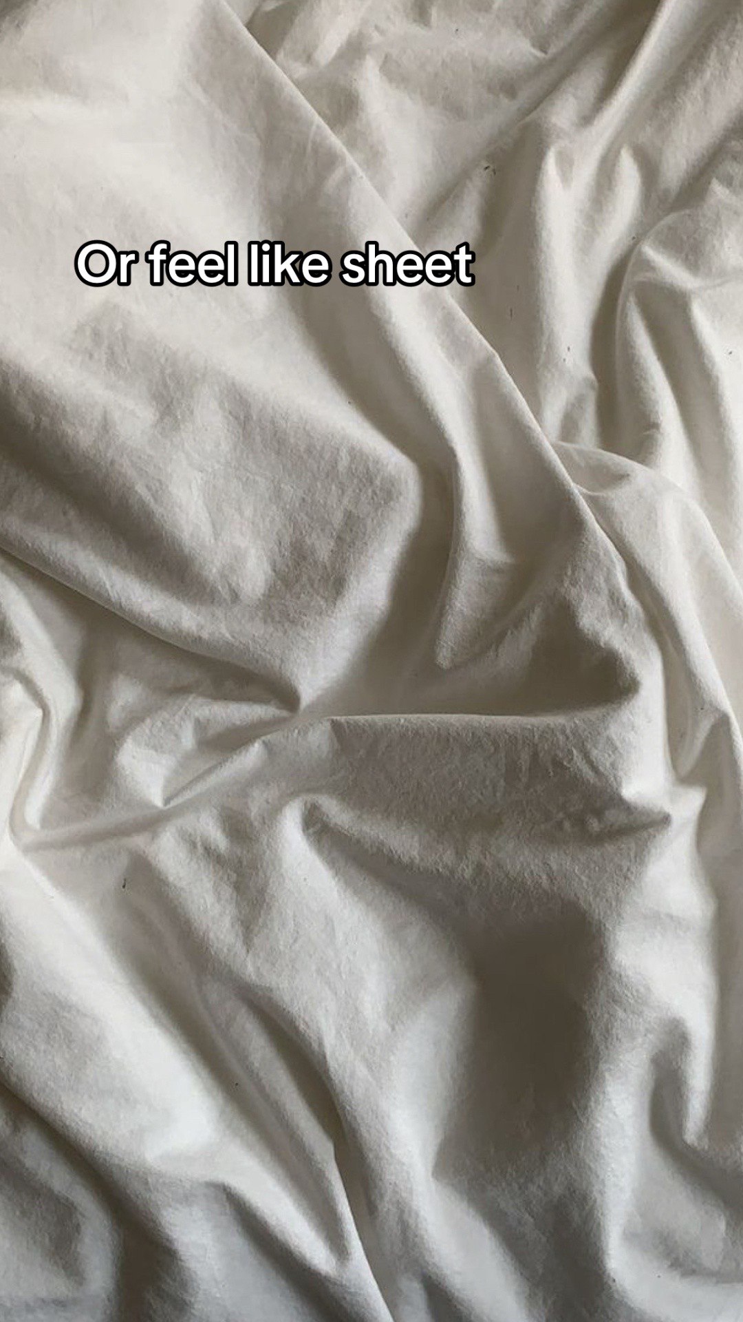 sheet