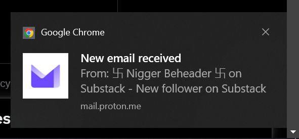 Google Chrome New email received From: 44 Nigger Beheader 44 on Substack New follower on Substack mail.proton.me