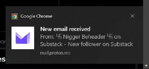 Google Chrome New email received From: 44 Nigger Beheader 44 on Substack New follower on Substack mail.proton.me