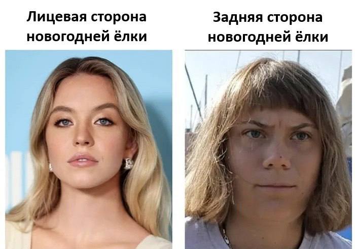 Лицевая сторона Задняя сторона новогодней ёлки новогодней ёлки