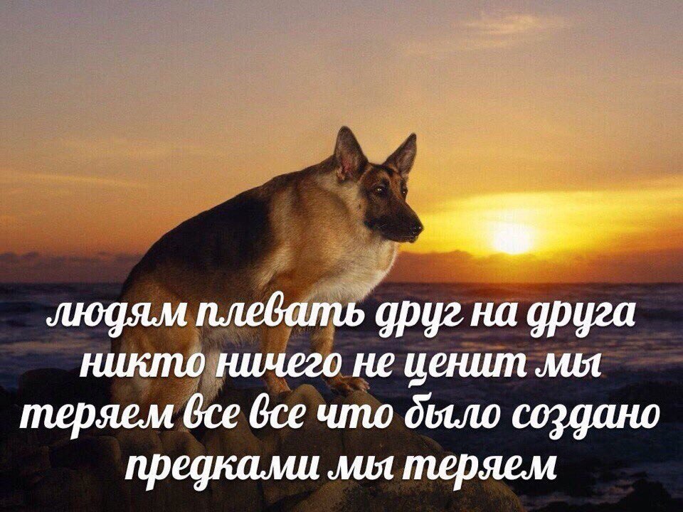 людям плевать друг на друга никто ничего не ценит лия теряем все что дыло создано предками мы теряем