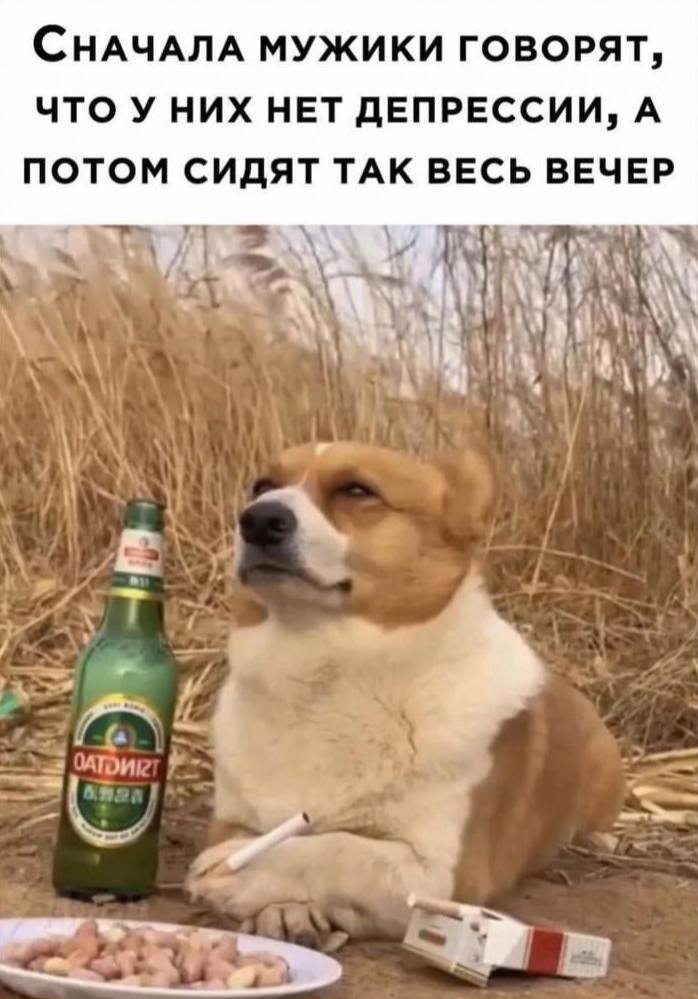 СНАЧАЛА МУЖИКИ ГОВОРЯТ, ЧТО УНИХ НЕТ ДЕПРЕССИИ, А ПОТОМ СИДЯТ ТАК ВЕСЬ ВЕЧЕР