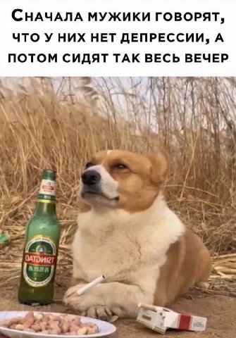 СНАЧАЛА МУЖИКИ ГОВОРЯТ, ЧТО УНИХ НЕТ ДЕПРЕССИИ, А ПОТОМ СИДЯТ ТАК ВЕСЬ ВЕЧЕР