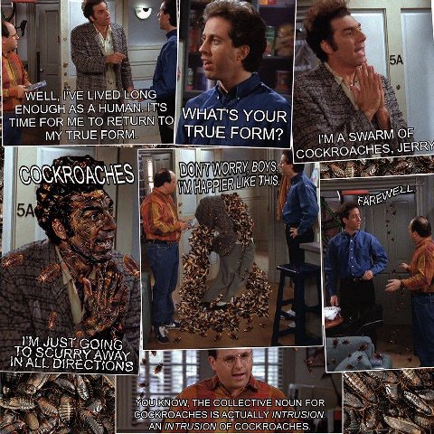 WELL, I'VE LIVED LONG ENOUGH AS A HUMAN. IT'S TIME FOR ME TO RETURN TO WHAT'S YOUR MY TRUE FORM. TRUE FORM? PMLA SWARM OF JERRY у LIKE BARE JUST GOING TO SCURRY а THE COLLECTIVE NOUN FOR СОСКВОАСНЕ$ I