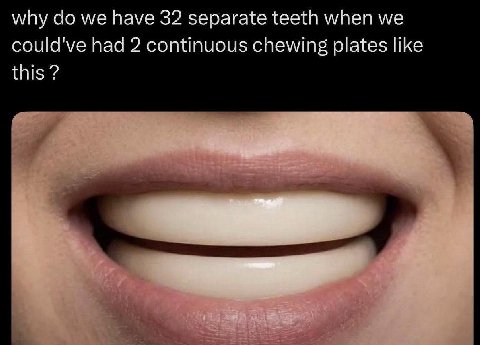 why we have 32 separate teeth when we could've had 2 continuous chewing plates like this