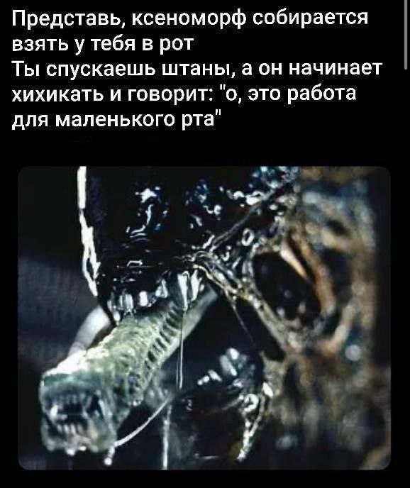 Представь, ксеноморф собирается взять у тебя в рот Ты спускаешь штаны, а он начинает хихикать и говорит: "о, это работа для маленького рта" А