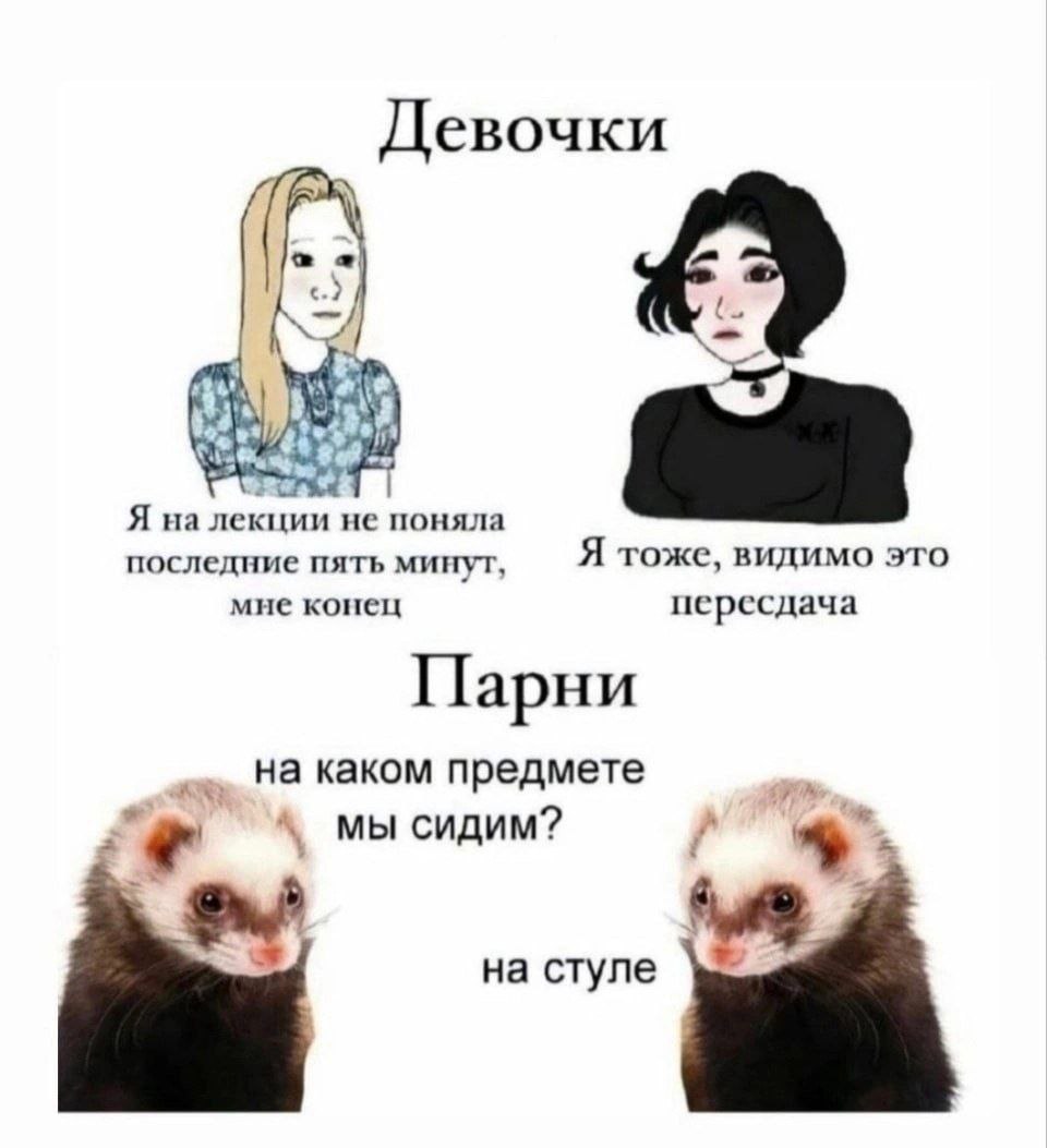 Девочки 2 Я на лекции не поняла Я тоже, видимо это последние пять минут, мне конец пересдача Парни на каком предмете мы сидим? cTyne