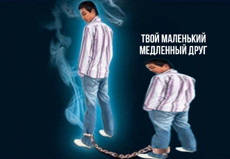 ТВОЙ МАЛЕНЬКИЙ МЕДЛЕННЫЙ ДРУГ