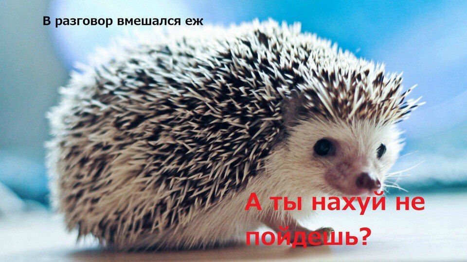 В разговор вмешался a! he’s a 7 hie 4 Я a нахуй иго 2