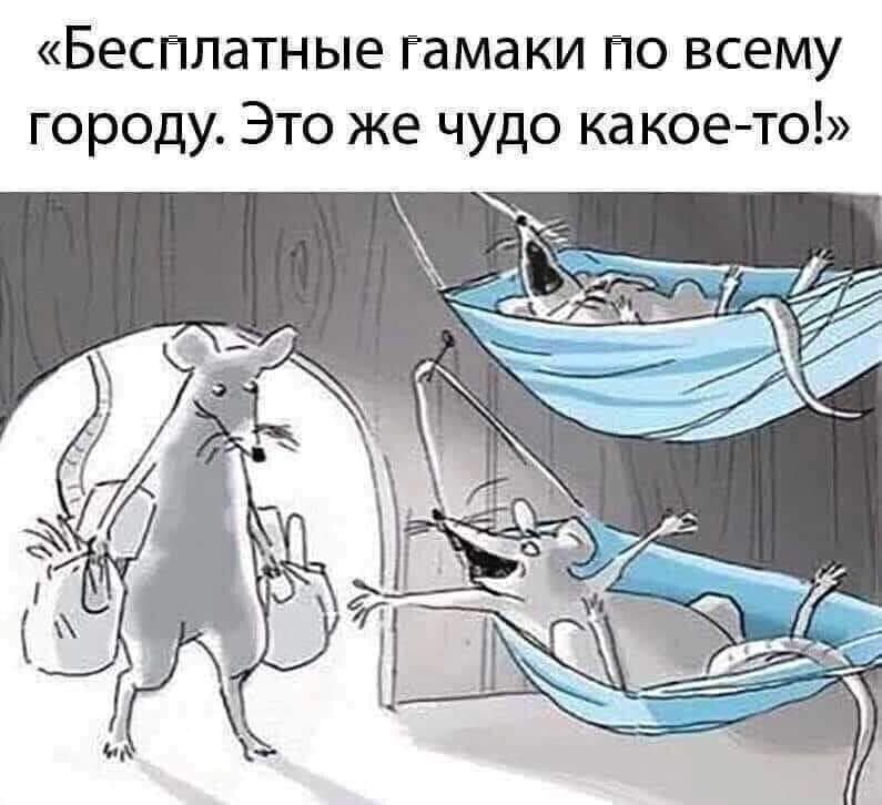 «Бесплатные гамаки по всему городу. Это же чудо 2