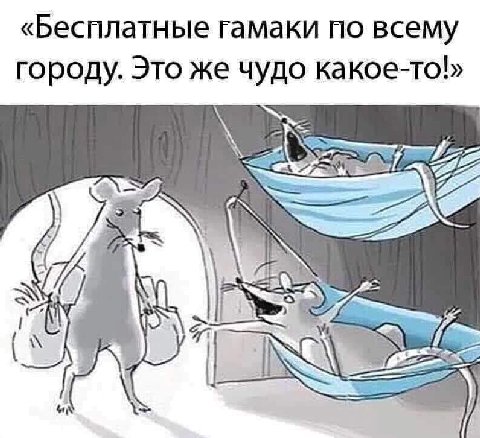 «Бесплатные гамаки по всему городу. Это же чудо 2