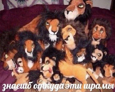 эти шрамы