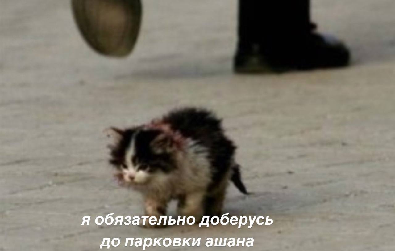 я обязательно доберусь до парковки ашана