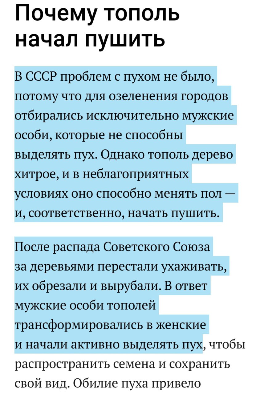Почему тополь начал пушить В СССР проблем с пухом не было, потому что для озеленения городов отбирались исключительно мужские особи, которые не способны выделять пух. Однако тополь дерево хитрое, и в 