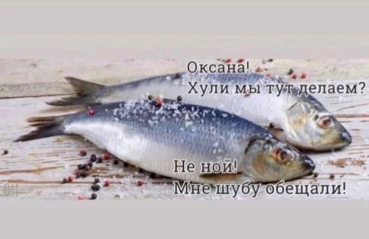 Оксана! мы тульделаем? 4 7 He И! обещали!