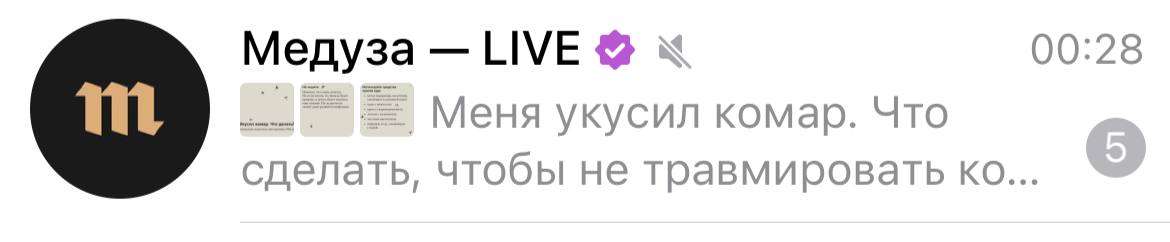 Медуза LIVE к 00:28 Меня укусил комар. Что сделать, чтобы не травмировать
