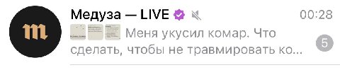 Медуза LIVE к 00:28 Меня укусил комар. Что сделать, чтобы не травмировать