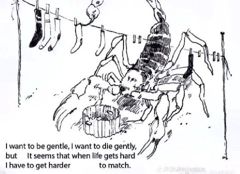 It Мы A 4 want to be gentle, want to die gently, but It seems that when life gets hard have to get harder to match.