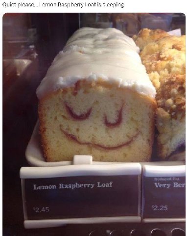 Quiet please... Lemon Raspberry Loaf is sleeping