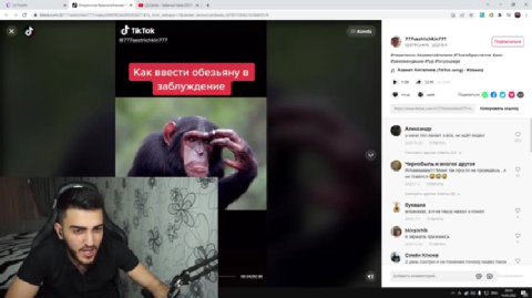 Как ввести обезьяну в se meen tata ie хз Фтиток ых < №; Видео специально для вас —