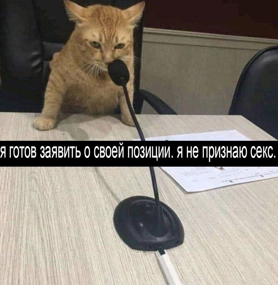 Я ГОТОВ ЗАЯВИТЬ 0 СВОЙ ПОЗИЦИИ. Я Не признаю секс.
