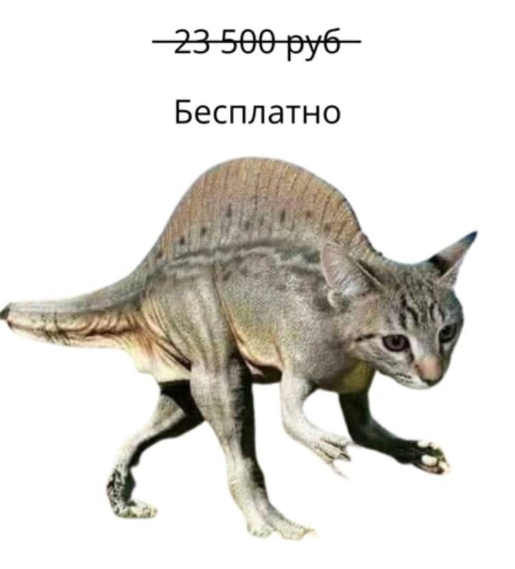 Бесплатно