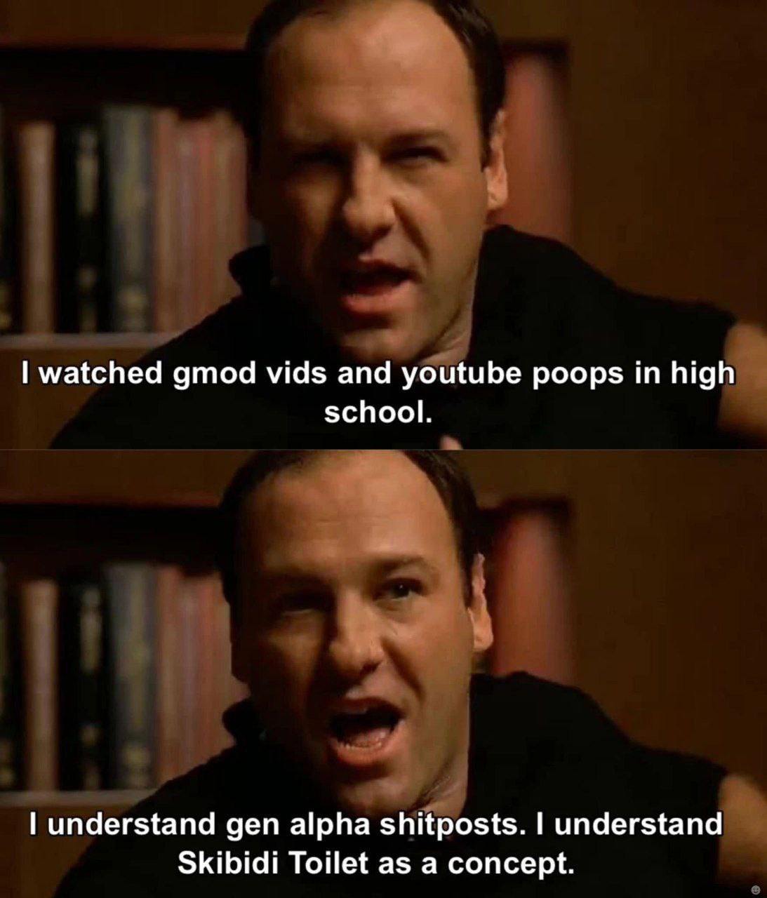 watched gmod vids and youtube poops high school. understand gen alpha shitposts. understand Skibidi Toilet as a concept.
